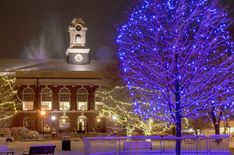 Town Hall at night with Blue Tree lit up