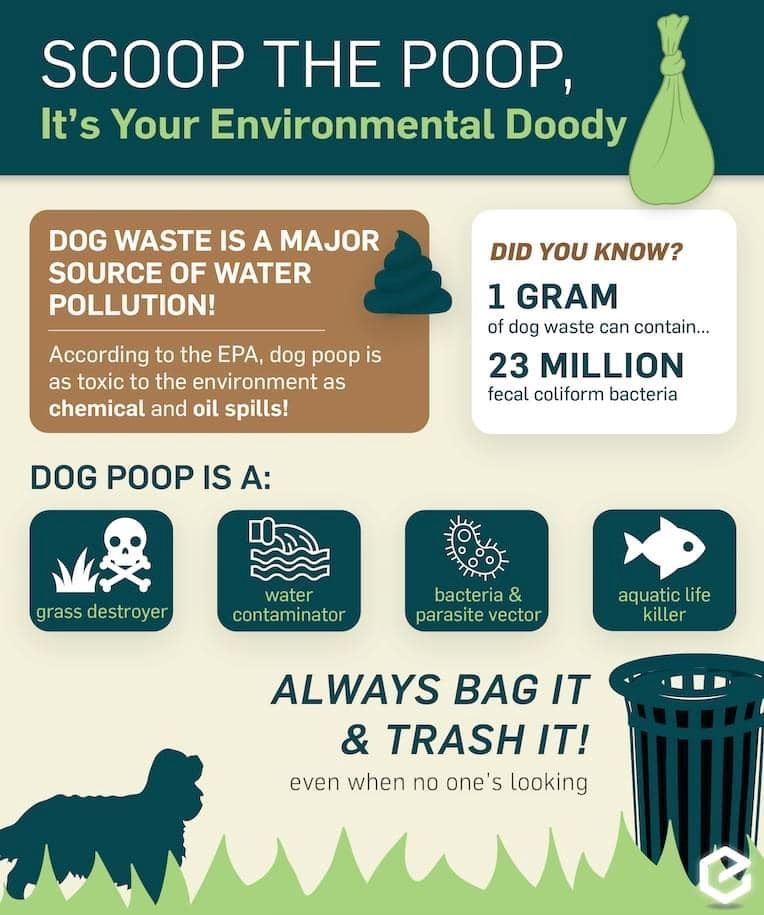 Scoop the Poop Infographic advising residents to pick up dog poop for environmental reasons