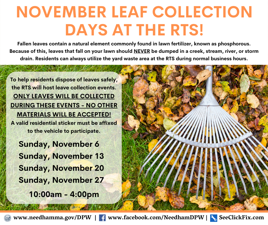 November Leaf Days  (Facebook Post)