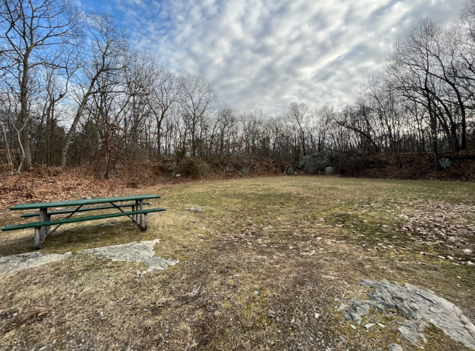 Screenshot 2023-01-30 12.07.30 PM