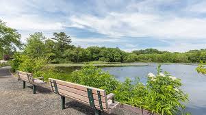 Needham Reservoir - trail seating