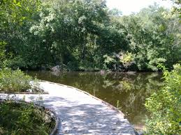Needham Reservoir - trail