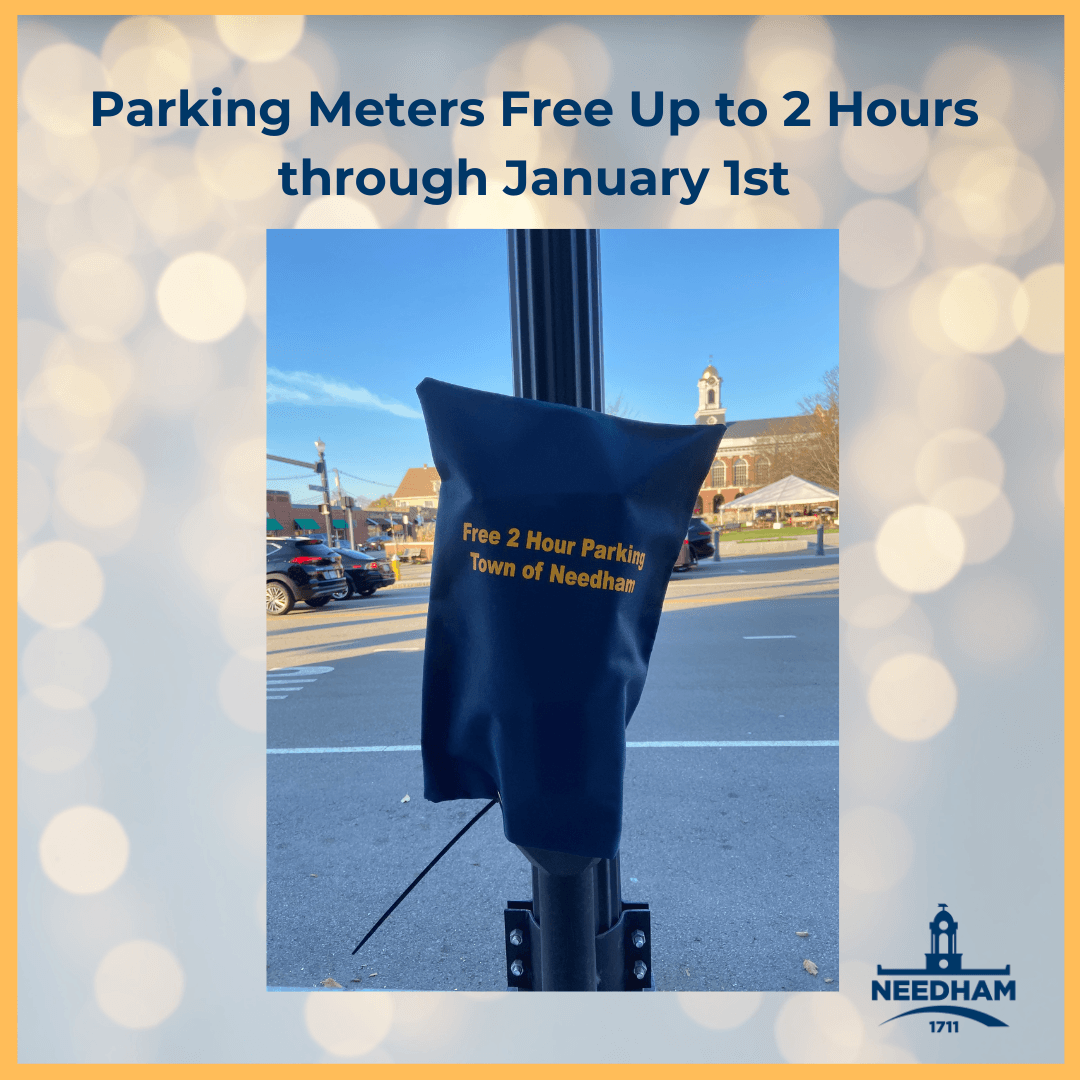 Photo of parking meter with a cover that says 
