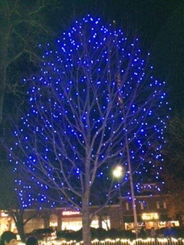 large tree decorated with blue string lights 