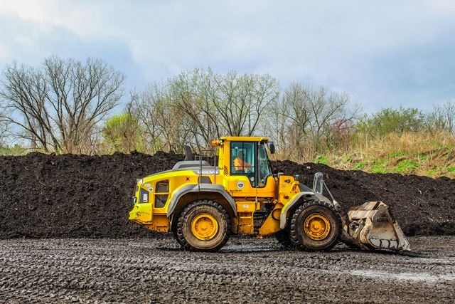 IMG_0246_edited for banner (JPEG)