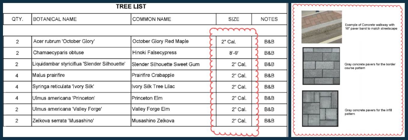 Final design revisions to pavers and trees, presented to the DRB